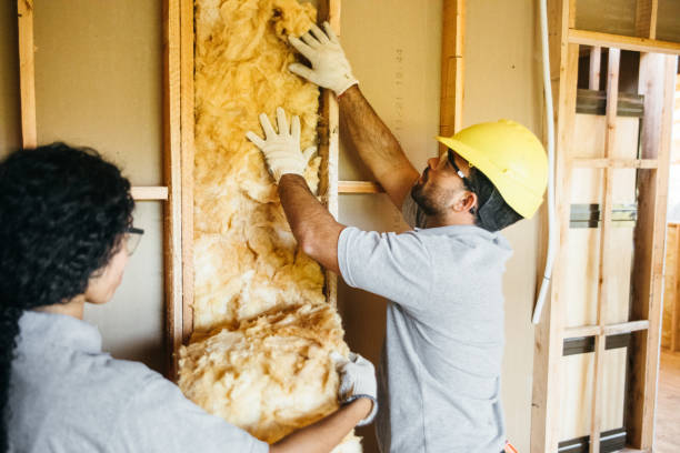 Professional Insulation Services in Stevenson Ranch, CA